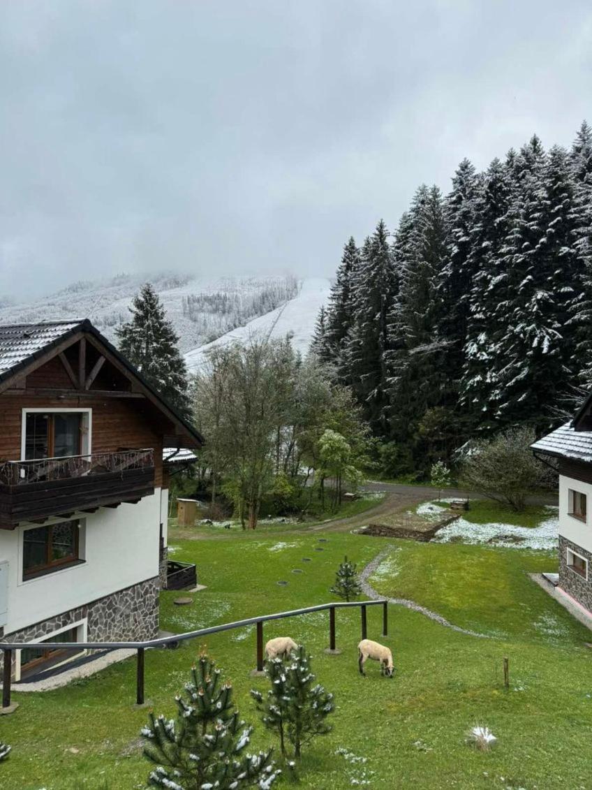 Apartman Grun -Vratna-Paseky Žilina Exterior foto
